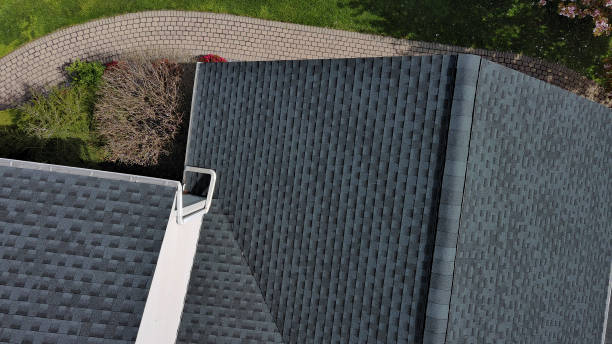 Best Chimney Flashing Repair  in Shannon, MS