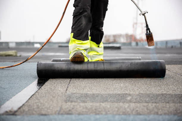 Best Roof Ventilation Installation  in Shannon, MS