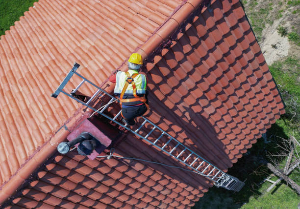Best Roof Insulation Installation  in Shannon, MS