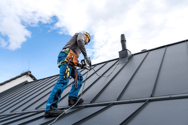 Best Commercial Roofing Services  in Shannon, MS